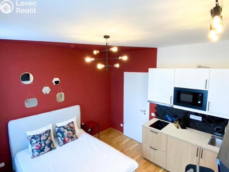 Rent apartment 1+KK Praha, Tyršova č. 1