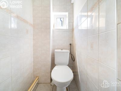 Продаж багатогенного будинку Nejdek, Limnická č. 18