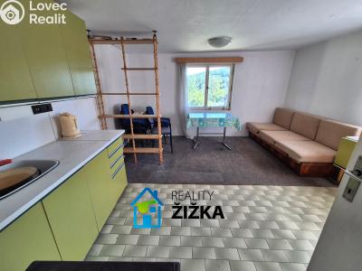 Sale hut Brno č. 2