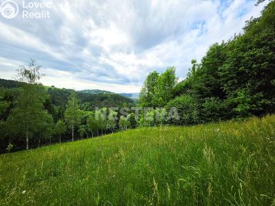 Prodej chalupy Jablonec nad Jizerou č. 12