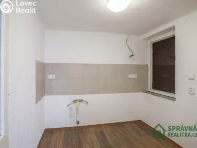 Sale hut Útušice č. 4