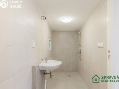 Sale hut Útušice č. 13