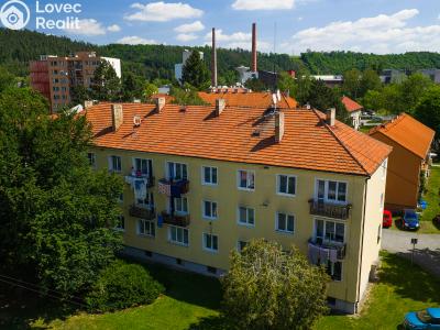 Prodej bytu 2+1 Sázava, Sídliště 9. května 299 č. 21