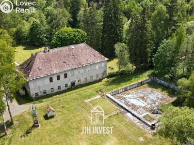 Prodej ubytovacího zařízení Planá č. 8