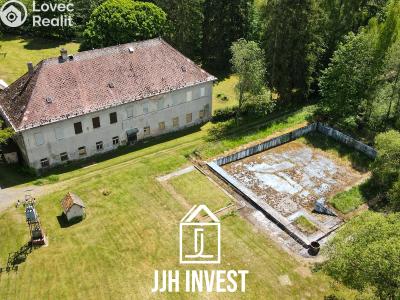 Prodej ubytovacího zařízení Planá č. 13