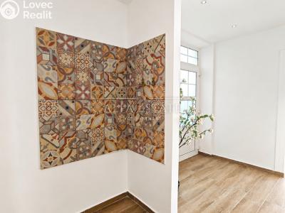 Аренда коммерческой недвижимости Dalovice, Pod Parkem č. 6