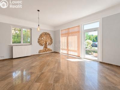 Аренда коммерческой недвижимости Dalovice, Pod Parkem č. 9