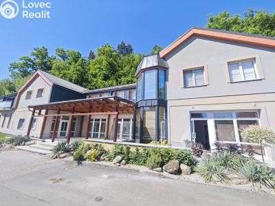 Аренда коммерческой недвижимости Dalovice, Pod Parkem č. 13