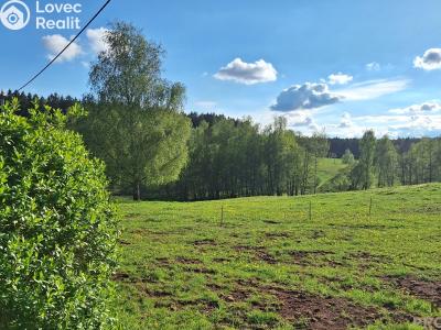Продажа семейного дома Borovnička č. 18