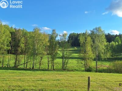 Продажа семейного дома Borovnička č. 22