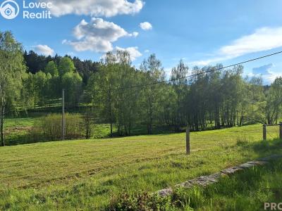 Продажа семейного дома Borovnička č. 23