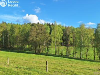 Продажа семейного дома Borovnička č. 24