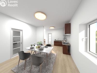 Sale apartment 3+KK Chotěšov č. 13