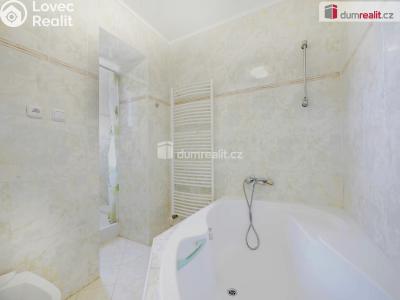 Продаж сімейного будинку Lovosice, U Výtopny č. 10