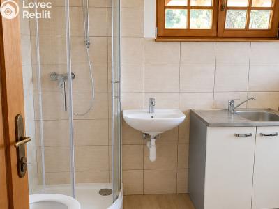 Sale family house Malšín č. 8