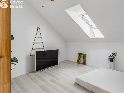 Sale family house Tehov, Všestarská 298 č. 28