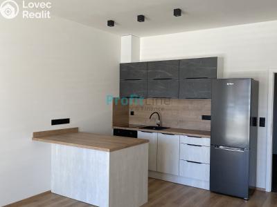 Rent apartment 1+KK Lanškroun, Kežmarská 513 č. 1