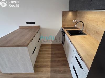 Rent apartment 1+KK Lanškroun, Kežmarská 513 č. 2