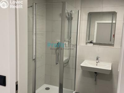 Rent apartment 1+KK Lanškroun, Kežmarská 513 č. 5