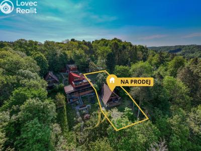 Sale hut Lipová č. 22