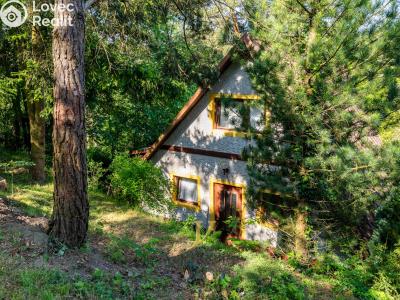 Sale hut Lipová č. 25