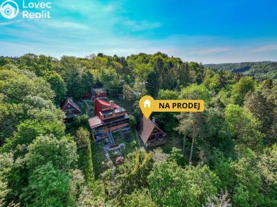 Sale hut Lipová č. 35