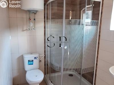 Sale hut Dobronice u Bechyně č. 8