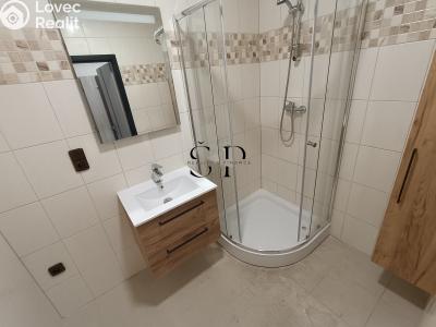Аренда квартиры 2+KK Nová Ves č. 11