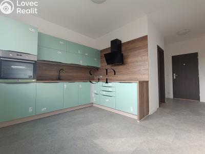Продаж квартири 1+1 Sokolov, Atletická č. 1