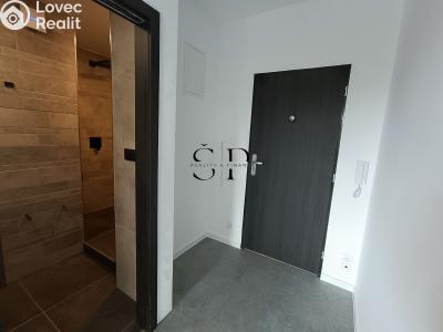 Продаж квартири 1+1 Sokolov, Atletická č. 6