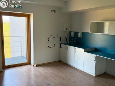 Pronájem obchodního prostoru Plzeň, Červenohrádecká č. 5