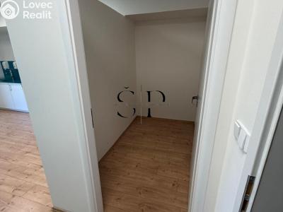 Pronájem obchodního prostoru Plzeň, Červenohrádecká č. 9