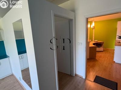 Pronájem obchodního prostoru Plzeň, Červenohrádecká č. 11