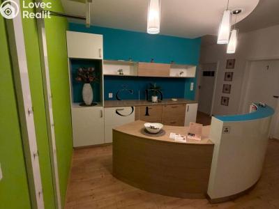 Pronájem obchodního prostoru Plzeň, Červenohrádecká č. 15