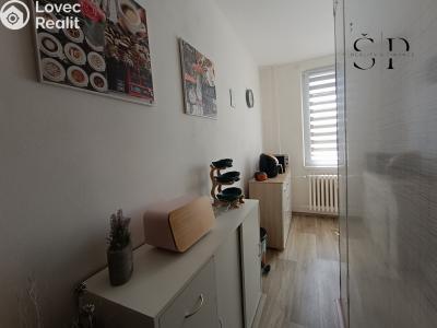 Продаж квартири 2+1 Spálené Poříčí, Lipnická č. 6