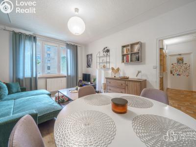 Продаж квартири 3+1 Sokolov, Švabinského č. 6