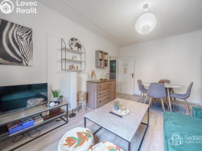 Продаж квартири 3+1 Sokolov, Švabinského č. 7