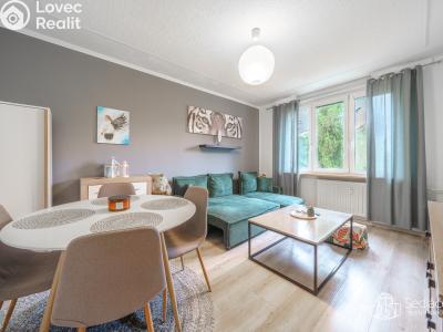 Продаж квартири 3+1 Sokolov, Švabinského č. 8