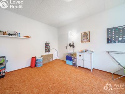 Продаж квартири 3+1 Sokolov, Švabinského č. 9