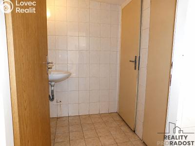 Pronájem obchodního prostoru Hodonín, Brandlova č. 6