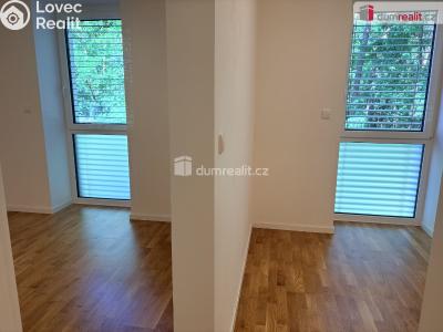 Pronájem bytu 1+KK Dubňany, Hornická č. 5