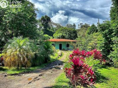 Prodej rodinného domu Cubujuquí,Sarapiquí,Kostarika č. 1