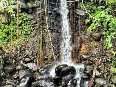 Prodej rodinného domu Cubujuquí,Sarapiquí,Kostarika č. 5