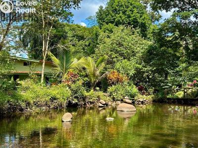 Prodej rodinného domu Cubujuquí,Sarapiquí,Kostarika č. 6