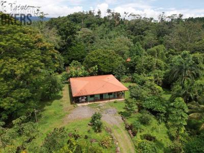 Prodej rodinného domu Cubujuquí,Sarapiquí,Kostarika č. 10