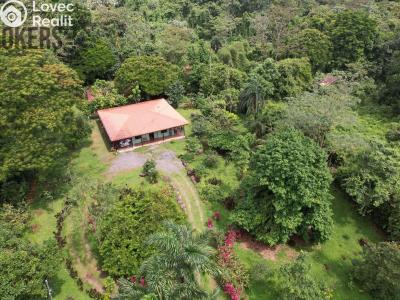 Prodej rodinného domu Cubujuquí,Sarapiquí,Kostarika č. 11