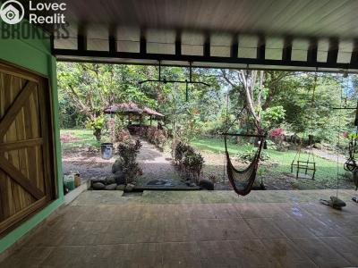 Prodej rodinného domu Cubujuquí,Sarapiquí,Kostarika č. 14
