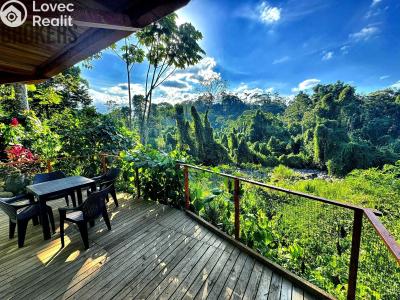 Prodej rodinného domu Cubujuquí,Sarapiquí,Kostarika č. 19