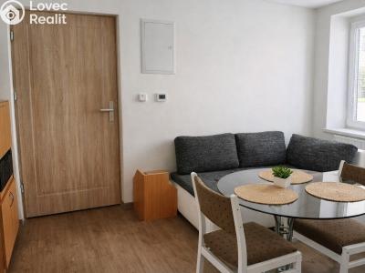 Prodej bytu 1+1 Hranice, Třída Československé armády 1148 č. 2