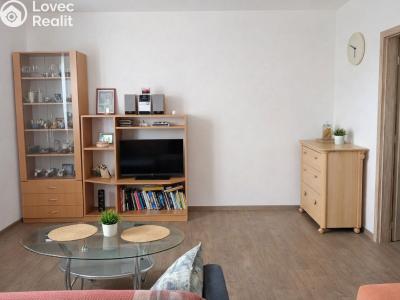 Prodej bytu 1+1 Hranice, Třída Československé armády 1148 č. 5